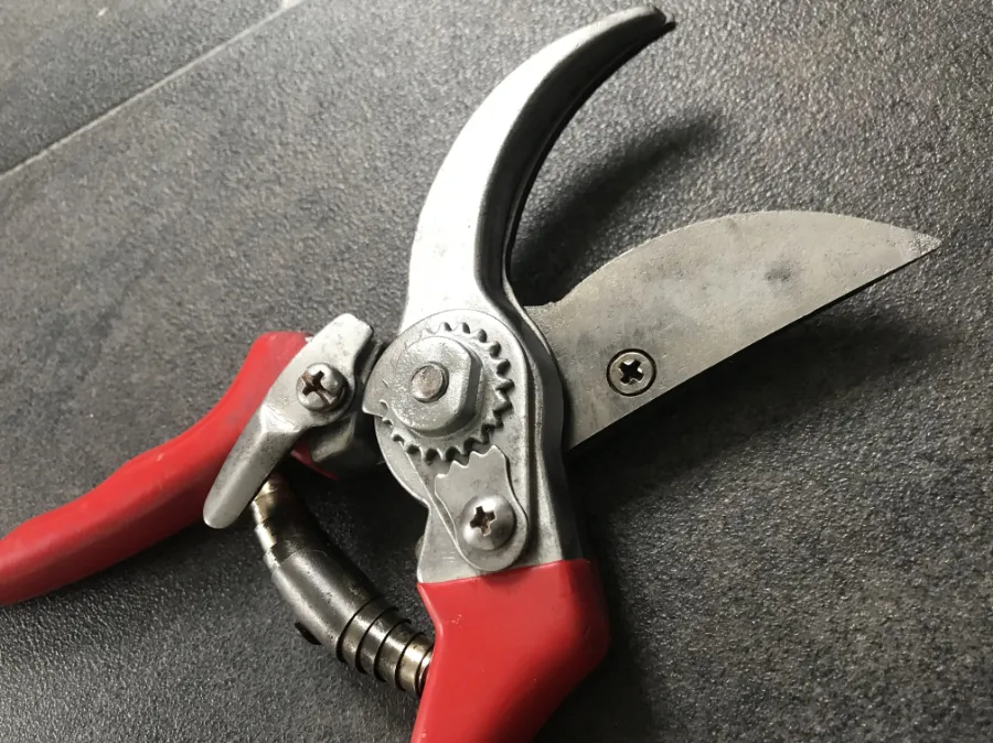 sharpened garden pruners with red handles lying on a grey background